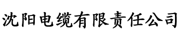 大茄子导航电缆厂logo